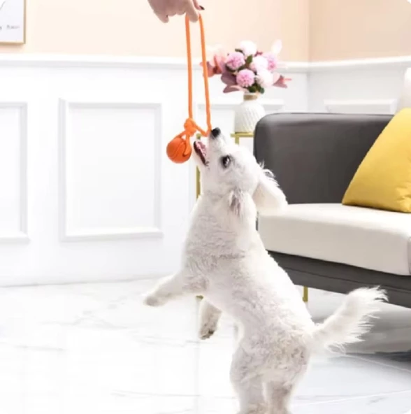 Köpek Renkli Elastik Toplu Diş İpi Oyuncağı 5 cm - 5