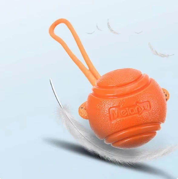 Köpek Renkli Elastik Toplu Diş İpi Oyuncağı 6 cm - Resim 7