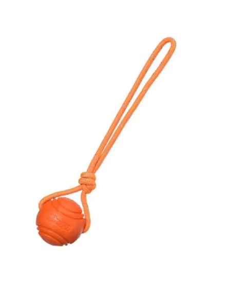 Köpek Renkli Elastik Toplu Diş İpi Oyuncağı 6 cm - Resim 2