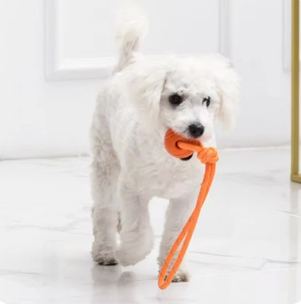 Köpek Renkli Elastik Toplu Diş İpi Oyuncağı 6 cm - Resim 6