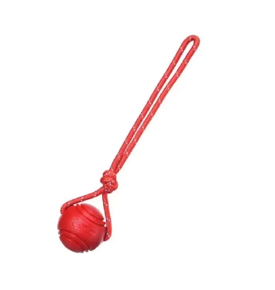 Köpek Renkli Elastik Toplu Diş İpi Oyuncağı 6 cm - Resim 4