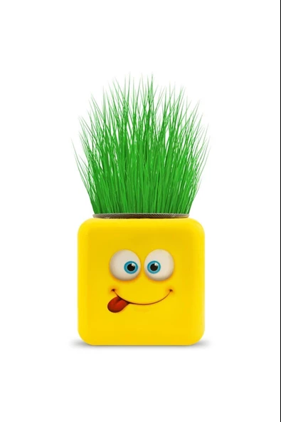 Periboia Çimoji 4 Figürlü Emoji Küp Çim Adam - 3