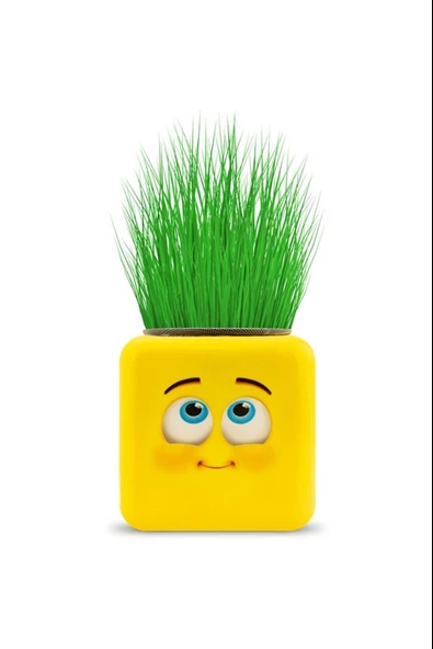 Periboia Çimoji 4 Figürlü Emoji Küp Çim Adam - 4