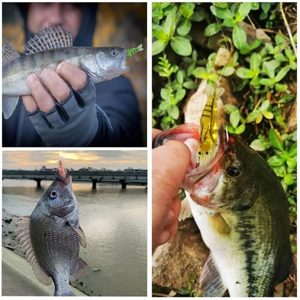 Valkyrie 12 Adet Fosforlu Kancalı Silikon Karides Olta Yem Sahte Yapay İğneli Balık Yemi Beyaz - 5