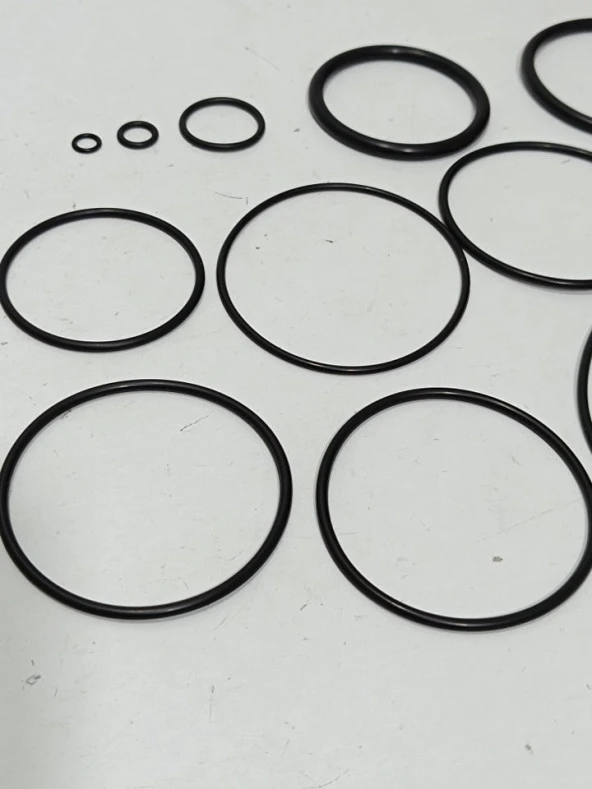 Max CN100 Rulo Çivi Tabancası Tamir Kiti Oring Conta Takımı 11 Adet - Resim 4