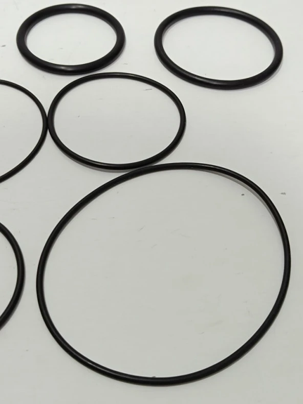 Max CN100 Rulo Çivi Tabancası Tamir Kiti Oring Conta Takımı 11 Adet - Resim 5