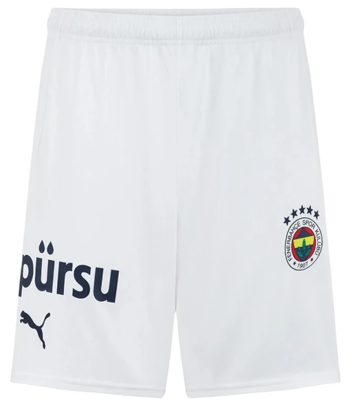 Fenerbahçe Sk Shorts 24/25 Erkek Futbol Şortu ürün görseli