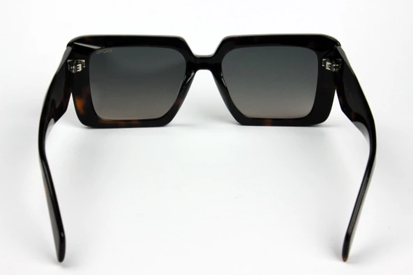 Rachel Paris 8510 C2 Kadın Güneş Gözlüğü 51 Mat Siyah - Resim 4