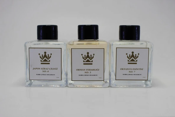 Bambu Çubuklu 3 Çeşit 100 ML Cam Kare Şişe 3 lü Set Oda Kokusu Parfümü Koku Giderici Ferahlatıcı Hava Temizleyici 3*100 ML