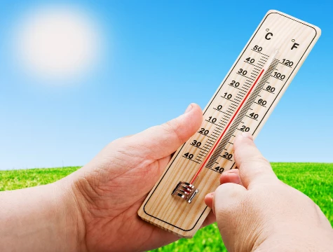 Periboia Ahşap Termometre - 2