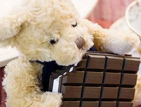 Periboia Çikolata Görünümlü Not Defteri - 2