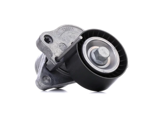 ALTERNATOR V KAYIS GERGI RULMANI KUTUKLU NISSAN NAVARA 23 DCI 2015 -> MASTER III TRAFIC III LOGAN I 46442999