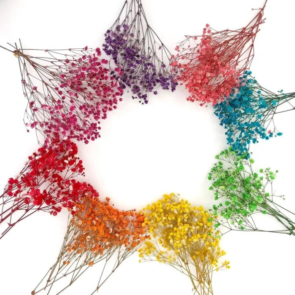 Nettenevime 10lu Set Kuru Çiçek Doğal Cipso Şoklanmış Bozulmaz 10Farklı  Karışık Renkler - Resim 5