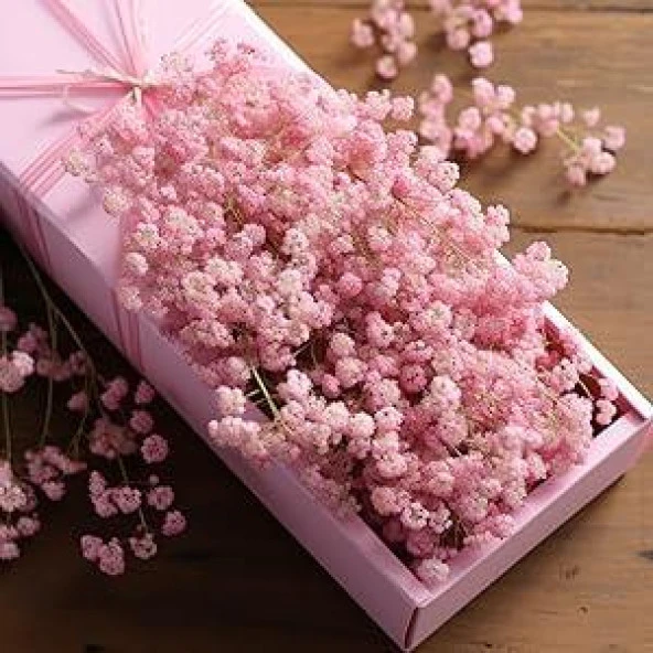 Nettenevime 10lu Set Kuru Çiçek Doğal Cipso Şoklanmış Bozulmaz 10Farklı  Karışık Renkler - Resim 8