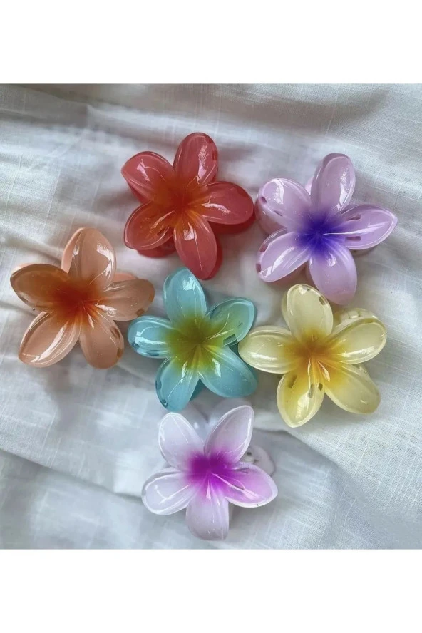 6 Adet Lotus Toka Renkli Kırılmaz - 2