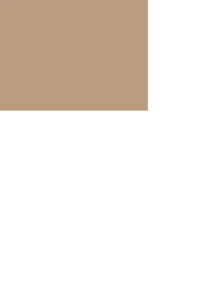 WEBER JOİNTSİL DERZ DOLGUSU 2 KG GÖREME BEJ - 2