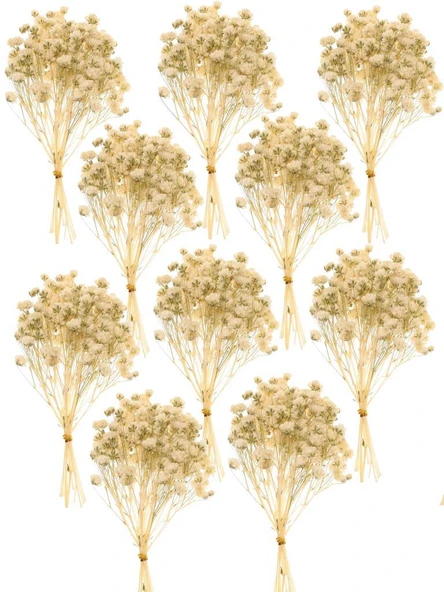 Nettenevime 10lu Set Kuru Çiçek Doğal KREM Cipso Şoklanmış Bozulmaz ürün görseli