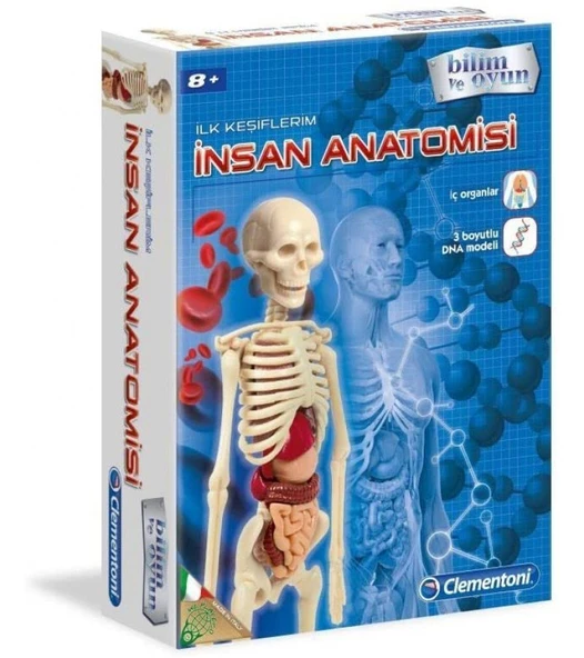 İnsan Anatomisi Bilim ve Oyun