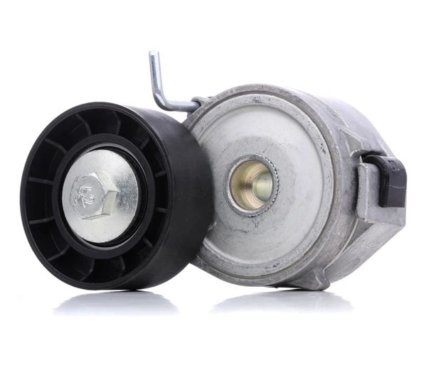 DAYCO APV2424-V KAYIS GERGİ RULMANI LAND ROVER FREELANDER II 2.2 TD4 > LR003651