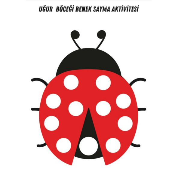 Uğur Böceği ile Saymayı Öğreniyorum (Cırt Cırtlı) ürün görseli 1