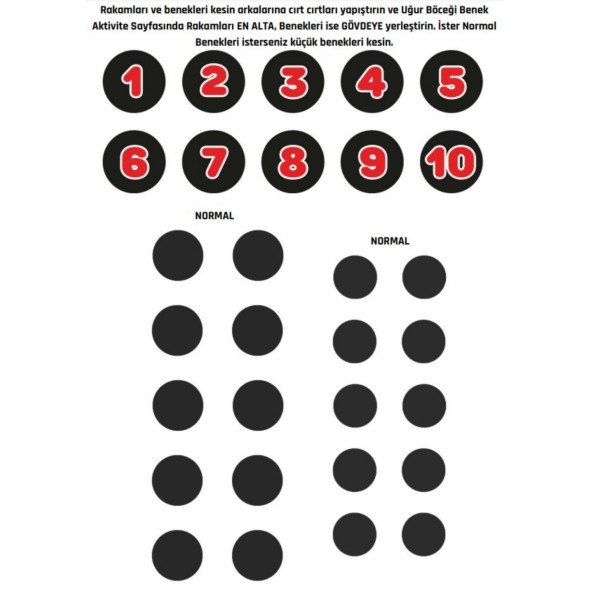 Uğur Böceği ile Saymayı Öğreniyorum (Cırt Cırtlı) - Resim 2
