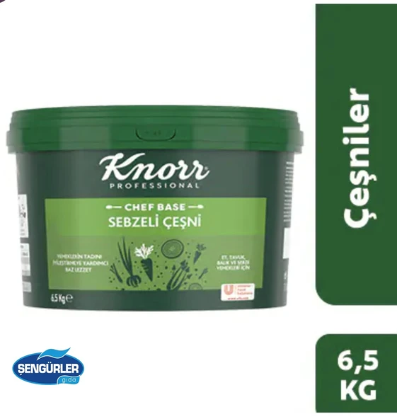 Knorr Chef Base Sebzeli Çeşni 6,5 Kg ürün görseli 1