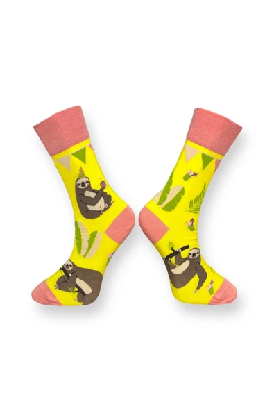 Me-vo Tekli Sarı Renkli Bay/Bayan Unisex Esnek Nem Alabilen Pamuklu Koala Desenli Soket Çorap - Resim 2