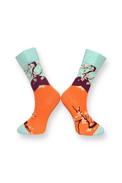 Me-vo Tekli Çok Renkli Bay/Bayan Unisex Esnek Nem Alabilen Pamuklu Doğa Desenli Soket Çorap - Resim 2