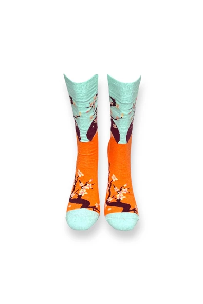 Me-vo Tekli Çok Renkli Bay/Bayan Unisex Esnek Nem Alabilen Pamuklu Doğa Desenli Soket Çorap - Resim 3