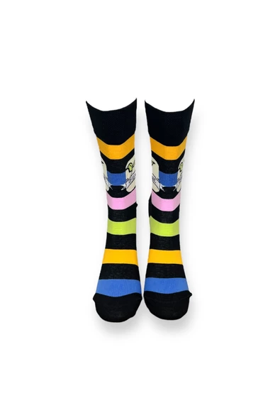 Me-vo Tekli Çok Renkli Bay/Bayan Unisex Esnek Nem Alabilen Pamuklu Organıc Yazılı Soket Çorap - Resim 3