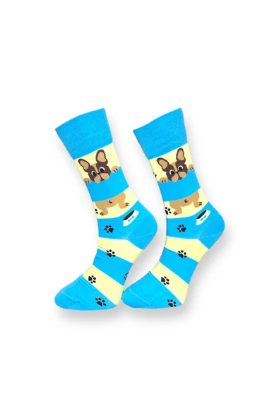 Me-vo Tekli Mavi Renkli Bay/Bayan Unisex Esnek Nem Alabilen Pamuklu Köpek Desenli Soket Çorap - Resim 2