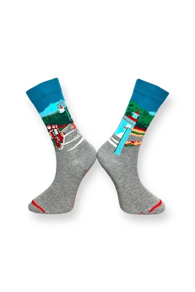 Me-vo Tekli Gri Renkli Bay/Bayan Unisex Esnek Nem Alabilen Pamuklu Manzara Desenli Soket Çorap - Resim 2
