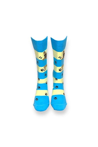 Me-vo Tekli Mavi Renkli Bay/Bayan Unisex Esnek Nem Alabilen Pamuklu Köpek Desenli Soket Çorap - Resim 3