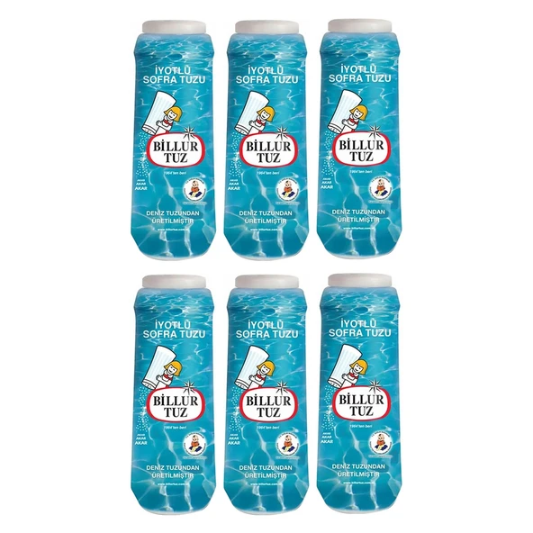 Billur Tuz Plastik Tuzluklu 500 G x 6 Adet - 2