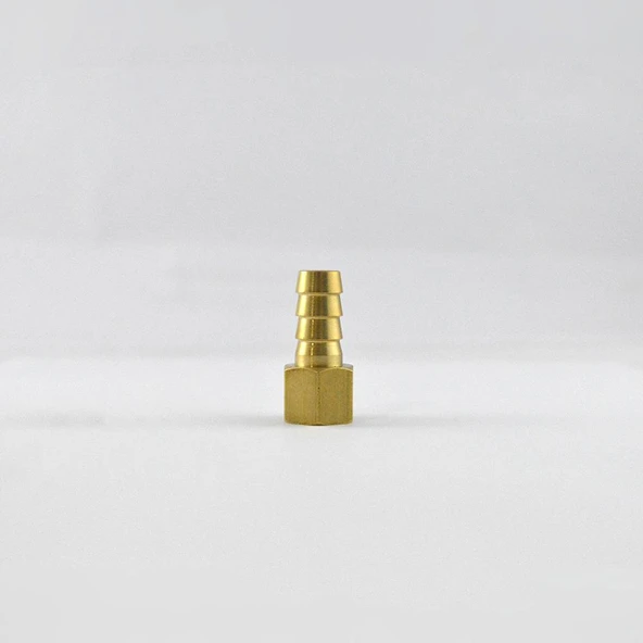 Brio Hava Hortum Dişi Rekoru 1/4 10Mm 3'lü Paket - 2