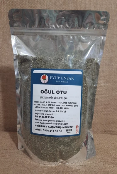 Eyüp Ensar OĞUL OTU  100 GR