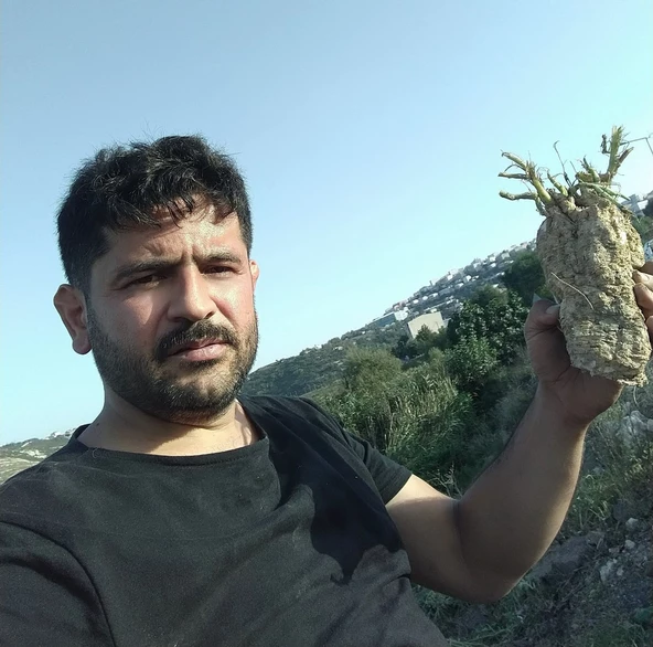Eyüp Ensar ACI KAVUN KÖKÜ YAŞI GRANURLU 50 GR - 7