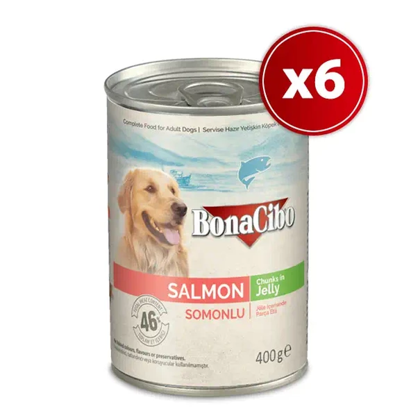 Bonacibo Jöleli Somonlu Yaş Yetişkin Köpek Konserve Maması 400 Gr x 6 Adet