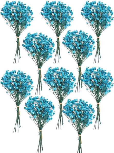 Nettenevime 10lu Set Kuru Çiçek Doğal MAVİ Cipso Şoklanmış Bozulmaz - 1