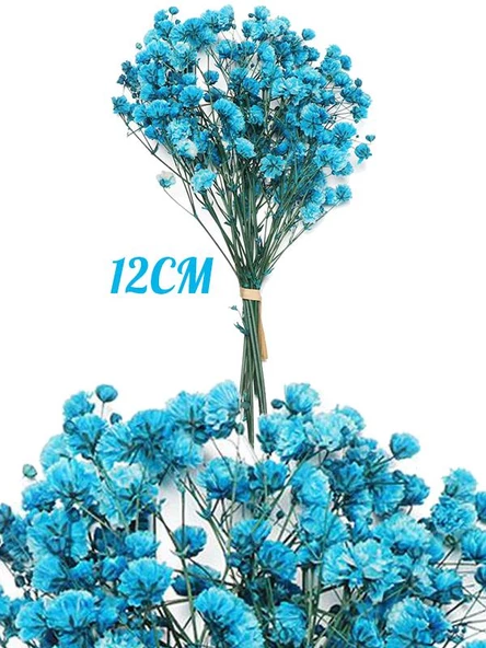 Nettenevime 10lu Set Kuru Çiçek Doğal MAVİ Cipso Şoklanmış Bozulmaz - 2