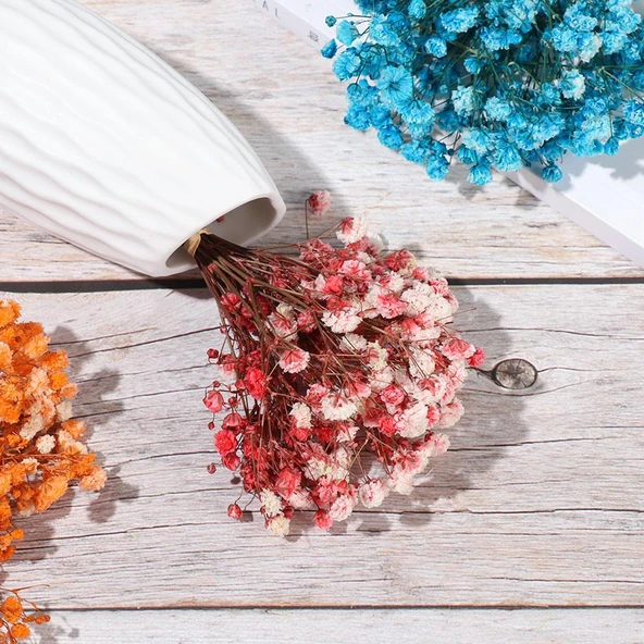 Nettenevime 10lu Set Kuru Çiçek Doğal KIRMIZI Cipso Şoklanmış Bozulmaz - Resim 2