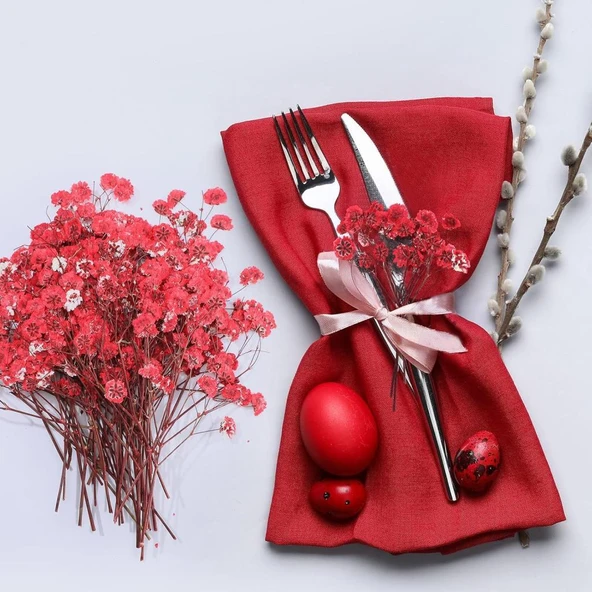 Nettenevime 10lu Set Kuru Çiçek Doğal KIRMIZI Cipso Şoklanmış Bozulmaz - Resim 7