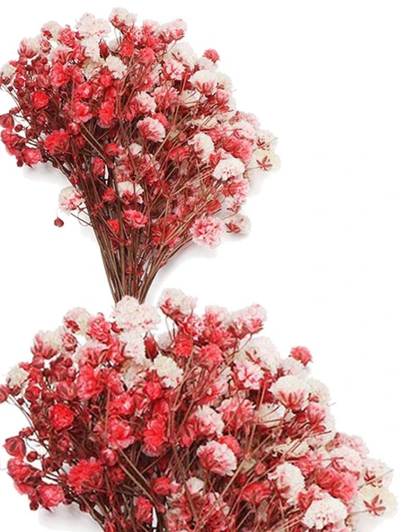 Nettenevime 10lu Set Kuru Çiçek Doğal KIRMIZI Cipso Şoklanmış Bozulmaz - Resim 8