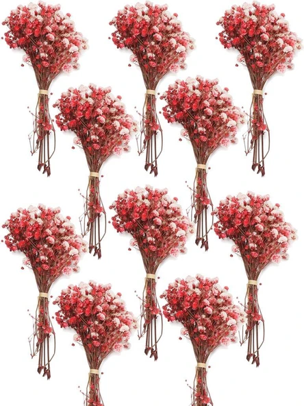 Nettenevime 10lu Set Kuru Çiçek Doğal KIRMIZI Cipso Şoklanmış Bozulmaz ürün görseli