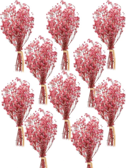 Nettenevime 10lu Set Kuru Çiçek Doğal PEMBE AÇIK Cipso Şoklanmış Bozulmaz ürün görseli