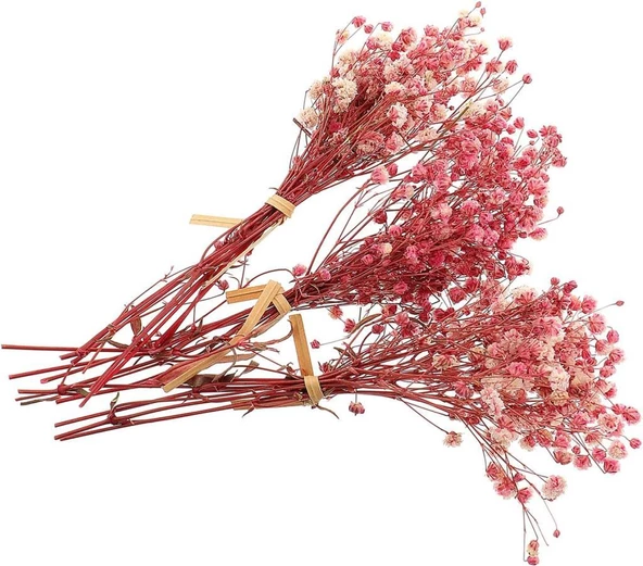Nettenevime 10lu Set Kuru Çiçek Doğal PEMBE AÇIK Cipso Şoklanmış Bozulmaz - Resim 4