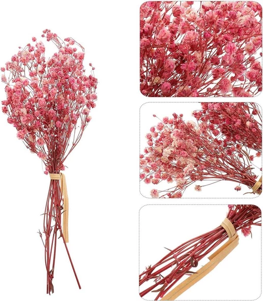 Nettenevime 10lu Set Kuru Çiçek Doğal PEMBE AÇIK Cipso Şoklanmış Bozulmaz - Resim 7