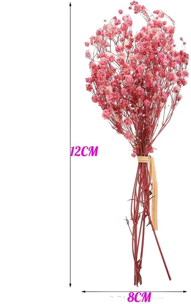 Nettenevime 10lu Set Kuru Çiçek Doğal PEMBE AÇIK Cipso Şoklanmış Bozulmaz - Resim 8