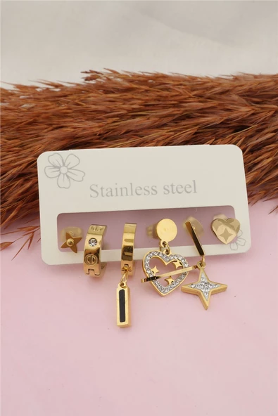 Kadın Çelik Kararmaz Kalpli Ve Taşlı Model 6 lı Küpe Seti ürün görseli