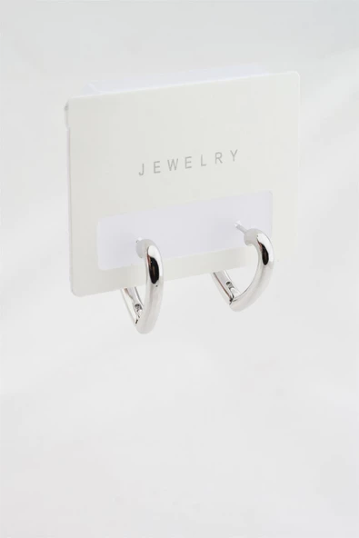 Kadın Altın Kaplama Zirkon Kalp Model Küpe ürün görseli